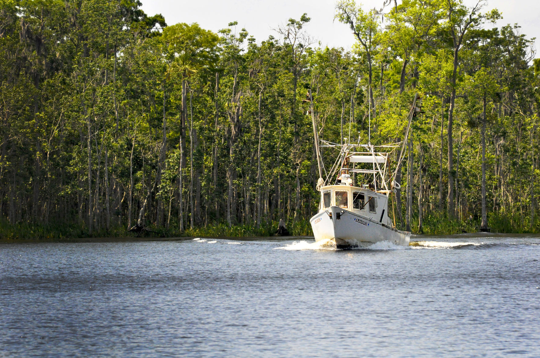 Withlachoochee river boat.jpg